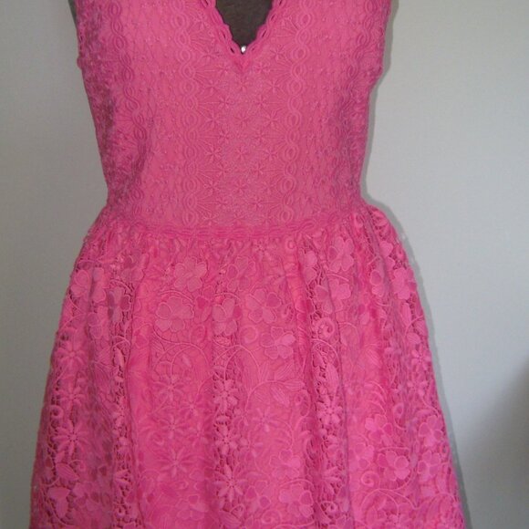 Alice + Olivia designer Pink Fit & Flare Lace Dress SIZE 0 New w/o Tags - Picture 11 of 11